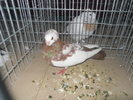 DSCN0850