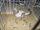 DSCN0853