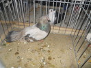 DSCN0854