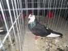 DSCN0855