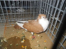 DSCN0858
