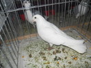 DSCN0861