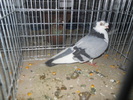 DSCN0863