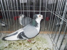 DSCN0864