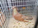 DSCN0869