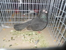 DSCN0872