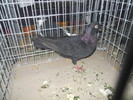 DSCN0873