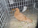 DSCN0875