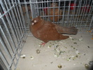 DSCN0876