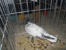 DSCN0878