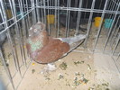 DSCN0880