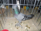 DSCN0881