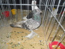 DSCN0882