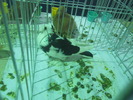 DSCN0883