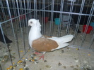 DSCN0889