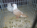 DSCN0896