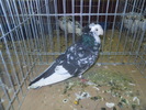 DSCN0897