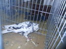 DSCN0898
