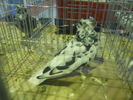 DSCN0899