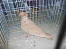 DSCN0901