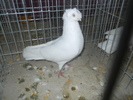 DSCN0902