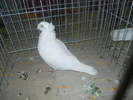 DSCN0903