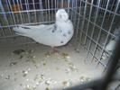 DSCN0904
