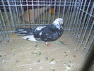 DSCN0905