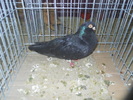 DSCN0906