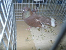 DSCN0912