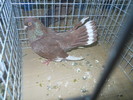 DSCN0914