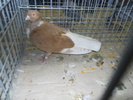 DSCN0921