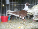 DSCN0927