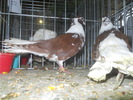 DSCN0928