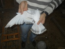 DSCN0514