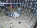 DSCN0671