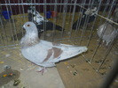 DSCN0673