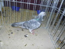 DSCN0674