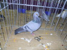 DSCN0675