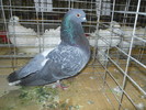 DSCN0702