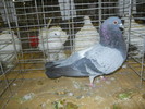 DSCN0703