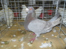 DSCN0704