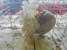DSCN0763