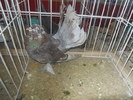 DSCN0778