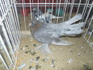 DSCN0779