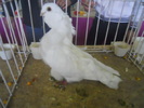 DSCN0781