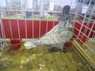 DSCN0782