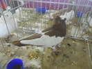 DSCN0792