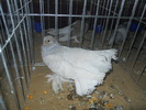 DSCN0818