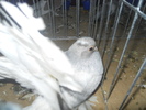 DSCN0819